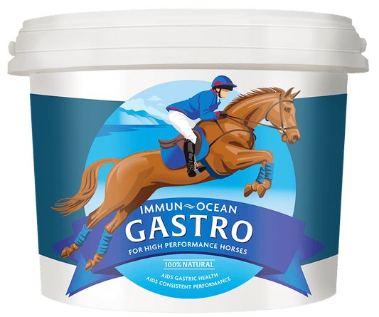 Immun-Ocean GASTRO Equine Supplement