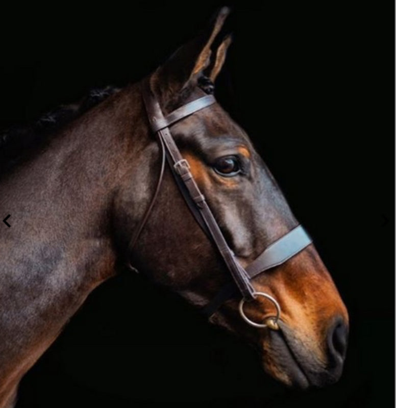 Eco rider Hunt Bridle