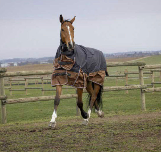 Equitheme Combo Tyrex 600 D 100g Turnout Rug